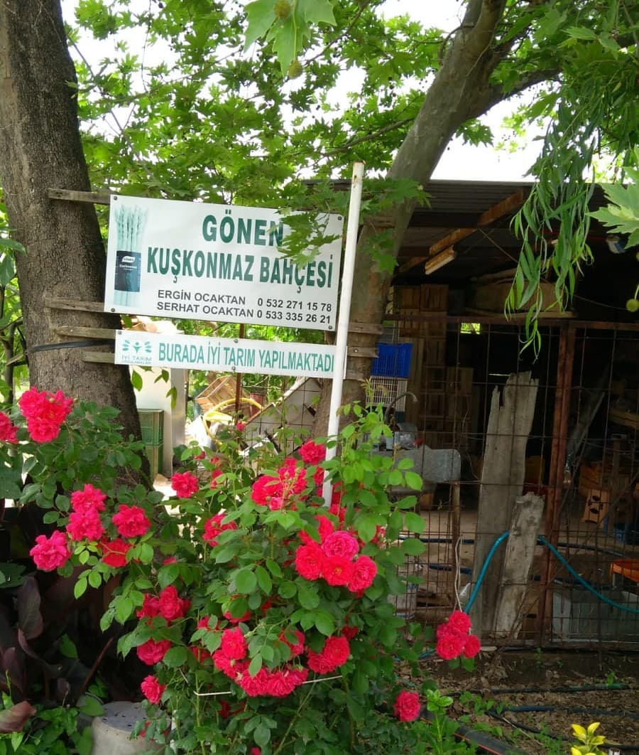 Gönen Kuşkonmaz Bahçesi - 3